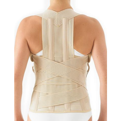 Double Shoulder Brace Support Strap - XL Size, Shop Today. Get it  Tomorrow!